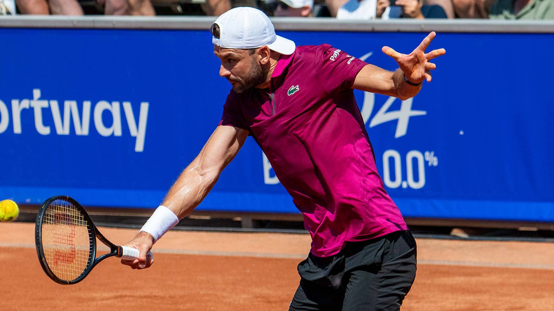 Grigor Dimitrov
